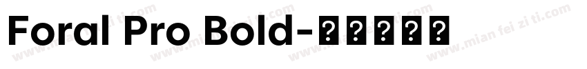 Foral Pro Bold字体转换